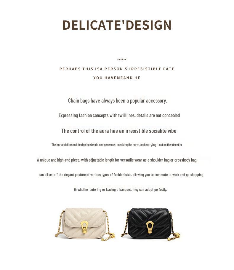 Women's Light Luxury Chain Crossbody Bag: Versatile Spring/Autumn Underarm Bag