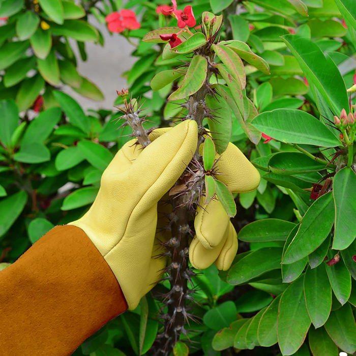 Gants de jardinage longs en cuir résistants aux épines et coupures - Femme, taille M