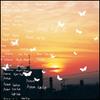 Музыкальные альбомы – CD-записи