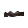 Dr. Martens 1461 Oxford Dark Brown Unisex Sneakers 11838201