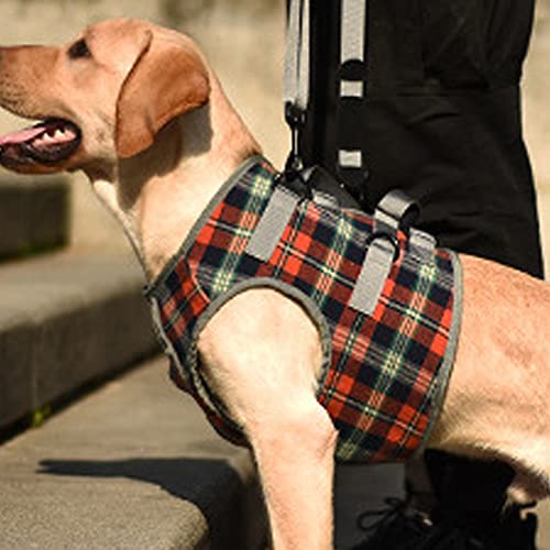POTATO Dog Care Harness, Shoulder-Mounted Dog Harness, Harness for Large Dogs, Perfect for Walking, Adjustable Support Harness, Pet Supplies, Size XL