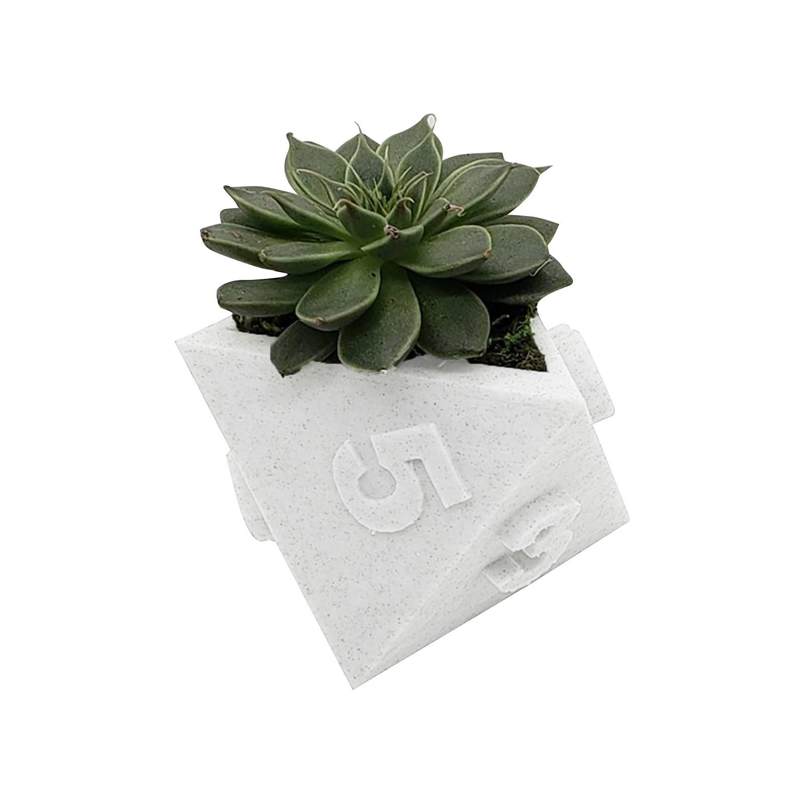 

3D Printed Plant Pot Table Top RPG Dice Succulent Planter Set Home Decoration белый