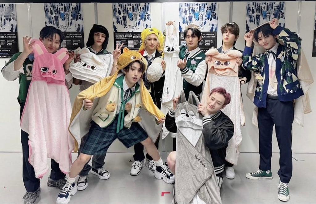 [USED] Leebit Blanket