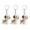 Dog Hair Storage Bottle Pet Memorial Keychain Transparent Hair Locket