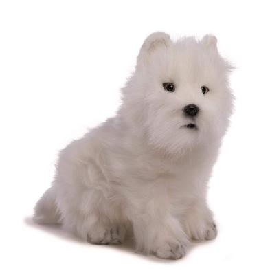 Hansa West Highland Terrier č.4127
