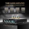 HiFi Sound Preamplifier Vacuum Tube Amplifiers Buffers Treble Bass Adjustment Preamp Sound Amplifiers Bile Tube Preamp