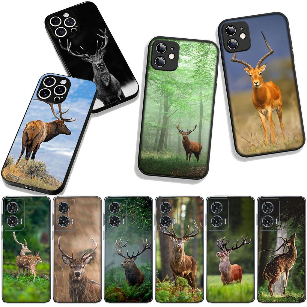Deer Hunting Buck Cover for Samsung Galaxy A25 A37 A57 A12 A14 A31 A41 A50 A51 A70 A71 A72 A21S A04 M15 Note 20 9 8 10 Case