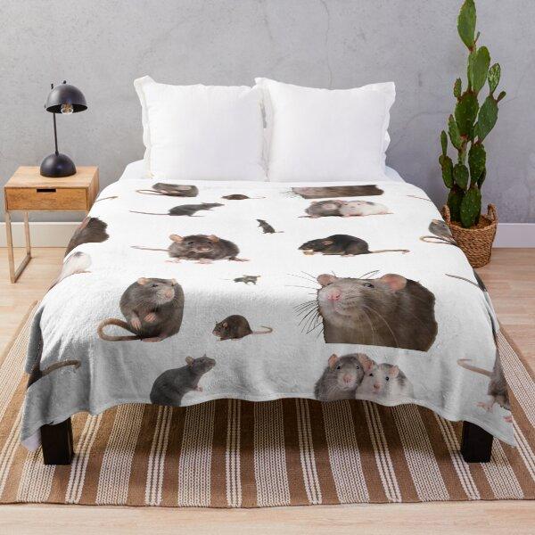 Blanket the rat set
