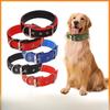 Köpek – Köpek Tasmaları ve Tasma Kayışları