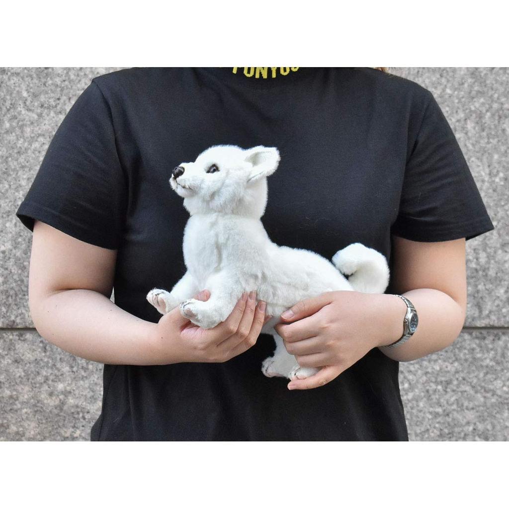 BH6342 HANSA Hokkaido Ken 33