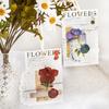 40 pièces/paquet Autocollants Spécimens de Feuilles de Fleurs Séchées Vintage Esthétique Créativité Décor Journal Chiffonné Scrapbooking Fournitures