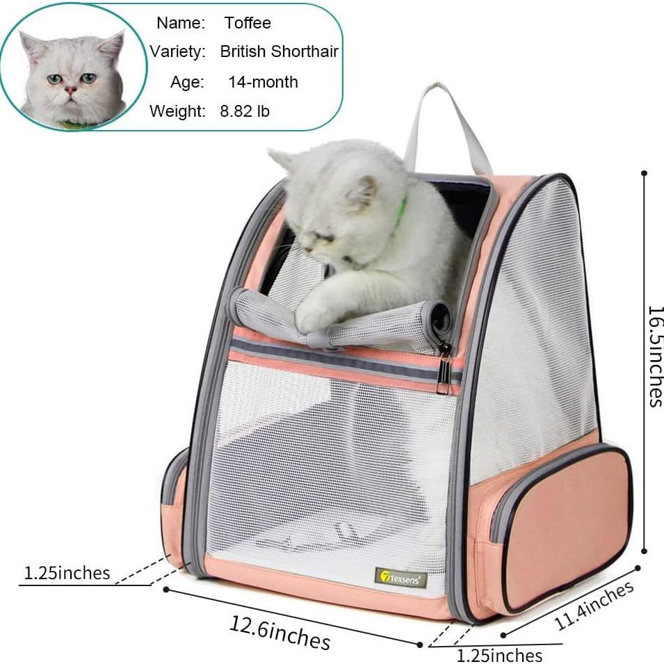 Portable Cross-Border Cat Backpack: Breathable, Foldable Outdoor Pet Bag