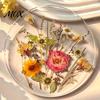 Modern Kitchen Table Decor Floral Print Acrylic Coaster, Non-Slip Surface Heat Resistant Protection Cup Pad, Dining Pads Transparent Round Mat