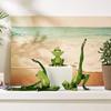 Yoga Frog Resin Crafts Home Decorations TV Cabinet Wine Cooler Ornament Graduation Birthday Gift Bedroom Living Room Decoration