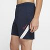 Nike Academy Pro Training Shorts 'Blue' Men's CD1180-451