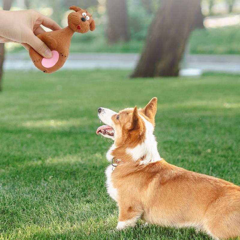 Durable And Entertaining Squeak Toy For Dogs In Attractive Cartoon Shapes And Styles