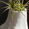 Creative Resin Plant Container Creepy Severed Hand Planter, 3D Printed Stitched Succulent Pot, Gothic Weird Funny Gesture Vase Small Flower