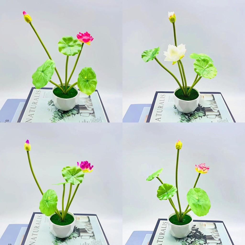 Nelumbo Sp Fake Potted Plant With Plastic Pot For Home Decor And Display Office