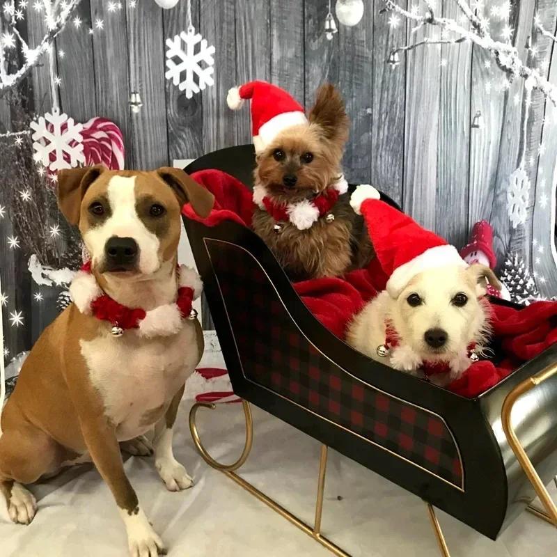 Chapeau de Noël pour animaux de compagnie Tedby Panda Dog, couvre-chef créatif en peluche rouge, décoration de fête pour animaux de compagnie