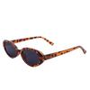 Damen Reise personalisierte Sonnenbrille kleiner Rahmen ovaler Sonnenschutz Brillendesigner