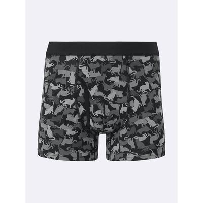 Kalsonger – Boxers