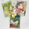 DIY Multi-Color Dried Flower Candle & Plaster Kit with Photo Frame