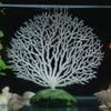 Plastic Artificial Coral Plants Ornament Underwater Fish Tank Aquarium Decoration