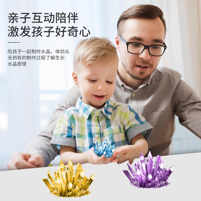 Children'S Educational Science Experiment Handmade Diy Crystal Seed Christmas Tree Growth Chemical Planting Crystal Toy