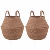 Seagrass Plant Basket with Handles 2 Pcs Natural Ø 22 X 20 Cm 100percent  Seagrass