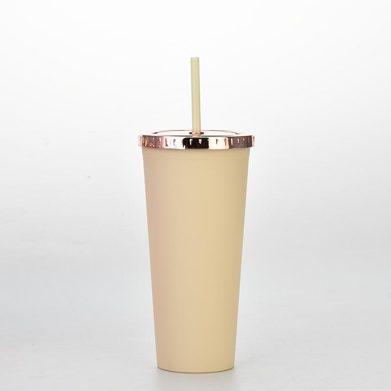 Plastic Water Cup Fashionable Rose Gold Cover Matte Multi-Color Double-Layer Plastic Straw Cup