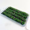 8mm 4 Stück Miniaturgrasbüschel Modellbahn Landschaftsmaterial Künstliche Feldfrüchte für Gartenlandschaft Diorama