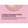 REGENBOOG - Rose Gold Tube Loose Powder Brush