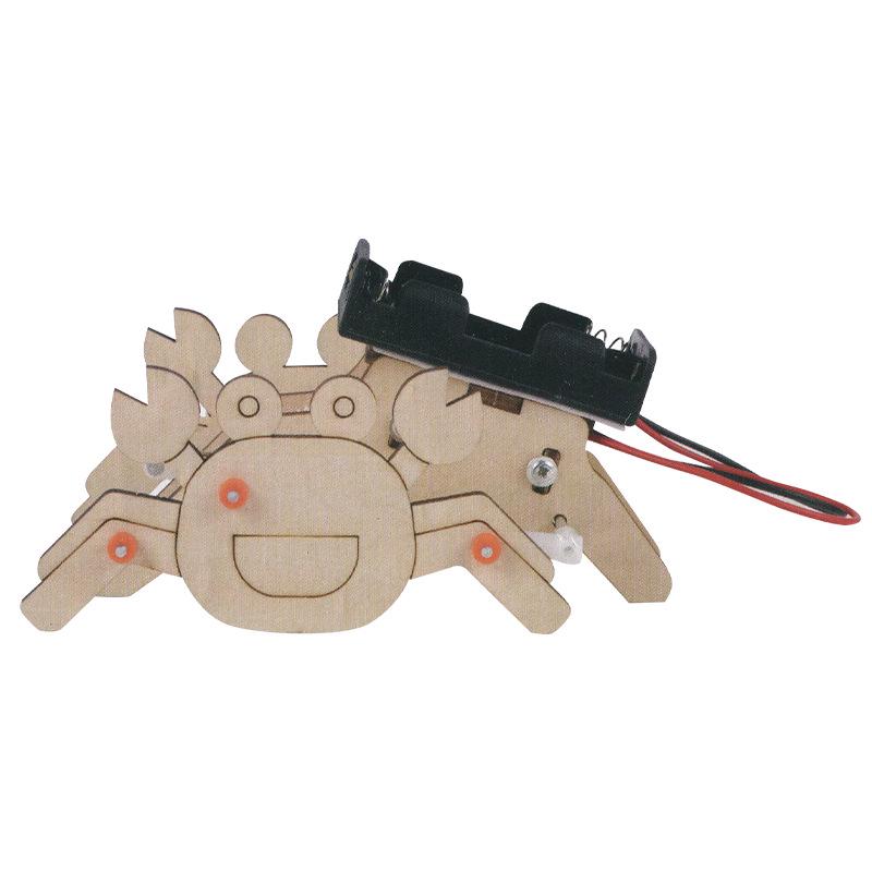 DIY Science Experiment Kit for Primary Students - Educational Puzzle Set