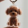 Hair Grooming Dog Hair Storage Box Transparent Puppy Pendants Pet Hair Keychain  Backpack