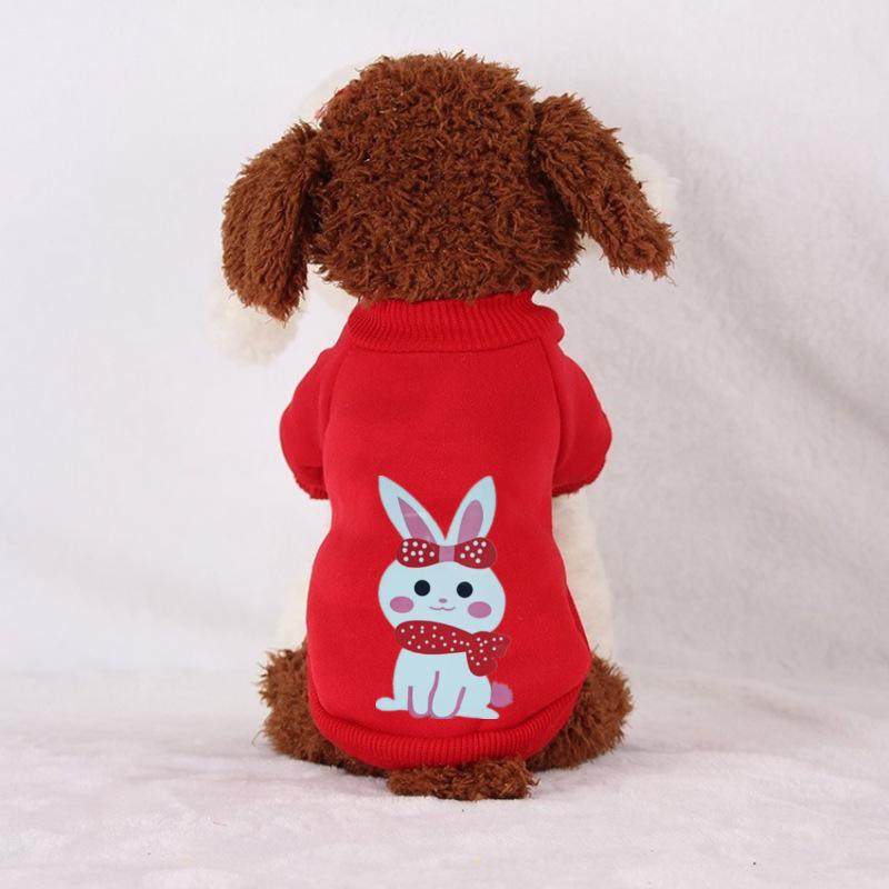 Autumn & Winter Sweatshirts for Cats and Dogs - Two-Legged for Teddy, Corgi, Bichon, Small Dogs, Puppies, and Cats.