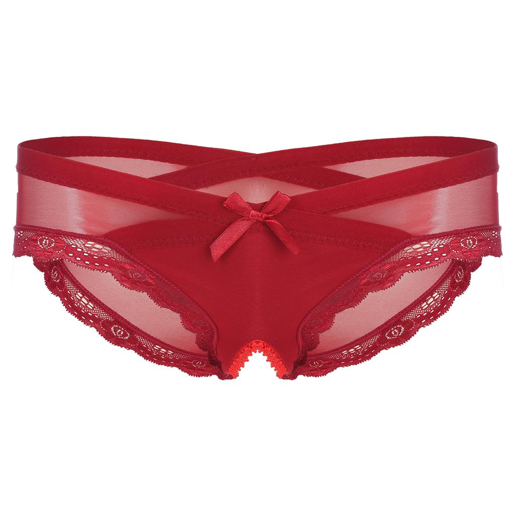 Pánské průsvitné bezrozkrokové kalhotky ze síťoviny s krajkovým lemem kalhotky Cross-dresser Sissy spodní prádlo