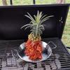 Vertical Stainless Steel BBQ Skewer Stand 3 Sizes Of Skewers Grill Or Oven