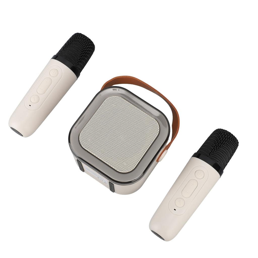 Tragbare Karaoke-Maschine Hervorragende Klangqualität Drahtloser Bluetooth-Lautsprecher mit 2 Mikrofonen für