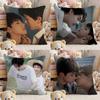 BL TV R-Revenged Love Pillow Case Comfort Sofa Bed Silky Elegant Invisible Zipper Custom Decorative Cushion Cover