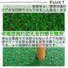 All Trust Golf Mat, Golf Practice Mat for Artificial Turf, Indoor and Outdoor Swing Practice, 30cm x 60cm