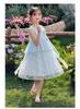 Girls' Thin Summer Dress - Stylish Princess Style