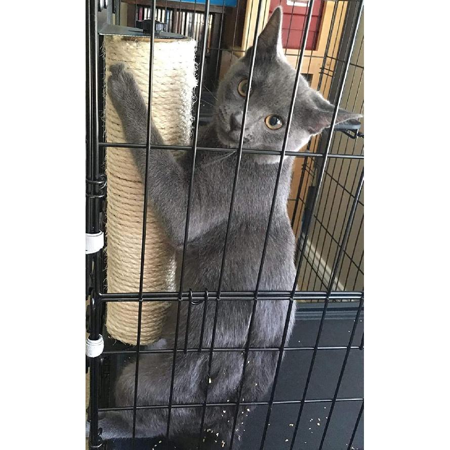 Cat Scratching Post Cage Mounted Cat Scratcher Space-Saving Sisal Scratch Post for Cat Grinding Claws Scratching and Climbing