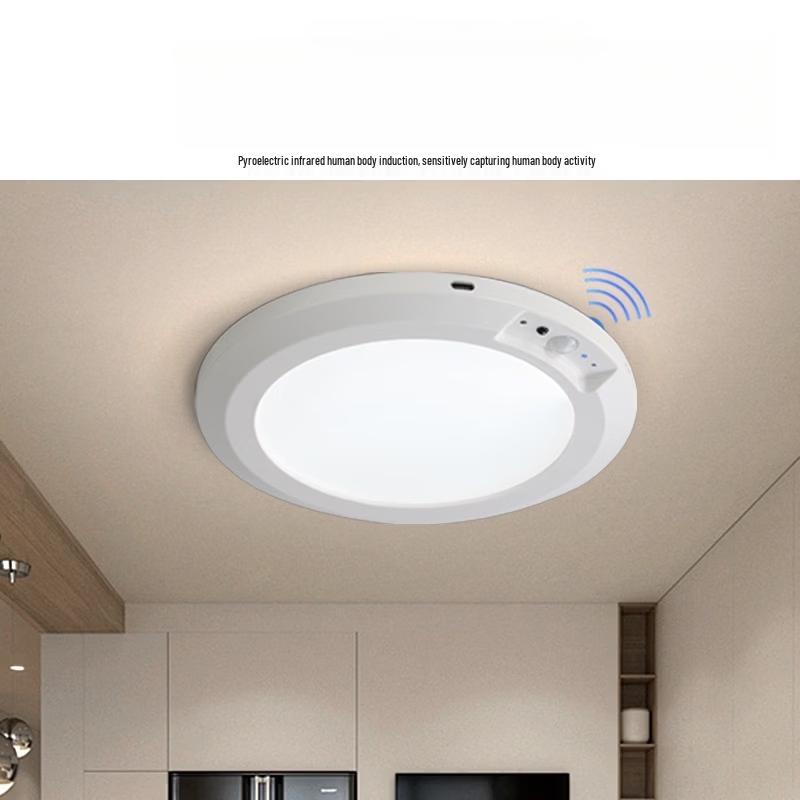 Dream Bubble Motion Sensor Rechargeable Ceiling Light