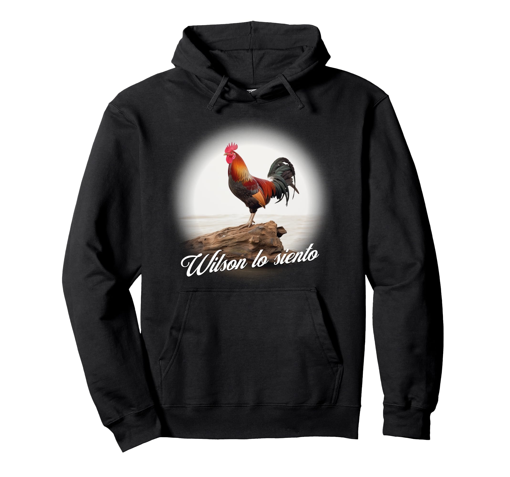 

Wilson Lo Siento hoodie