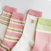 Women's Daily Socks 4-Pair Set