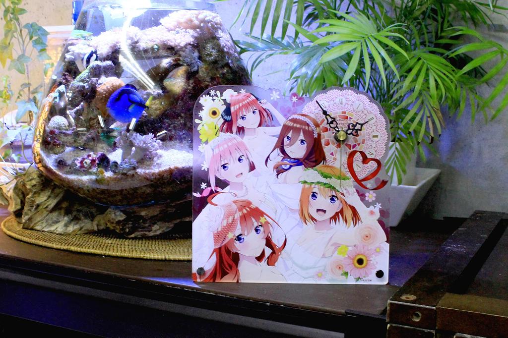 Seasonal Plants The Quintessential Quintuplets Acrylic Table H190 x Made of Acrylic Clock, Approx. W190mm,