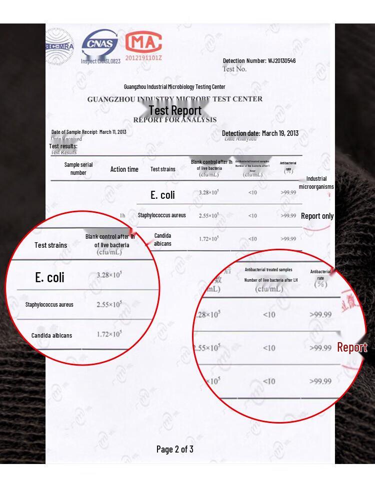 Avanti Women's 1800D Fleece Lined Thermal Leggings