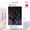 Bombay cat Pattern  3pcs 100% Round Full Drill 5D DIY Diamond Painting Embroidery Cross Stitch Rhinestone Décor