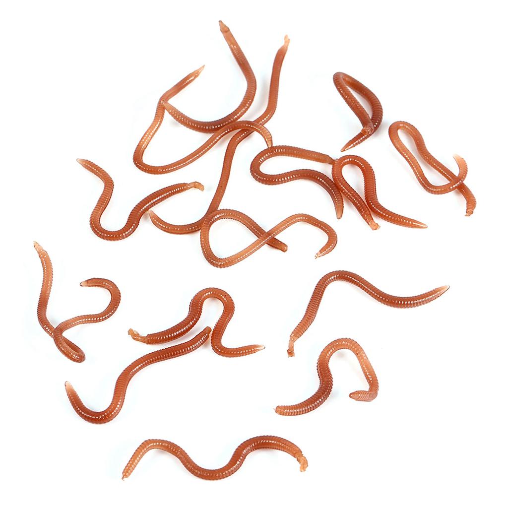 10cm Worm Shaped Fishy Smell Soft Fishing Lure Baits With Box For Fishermen