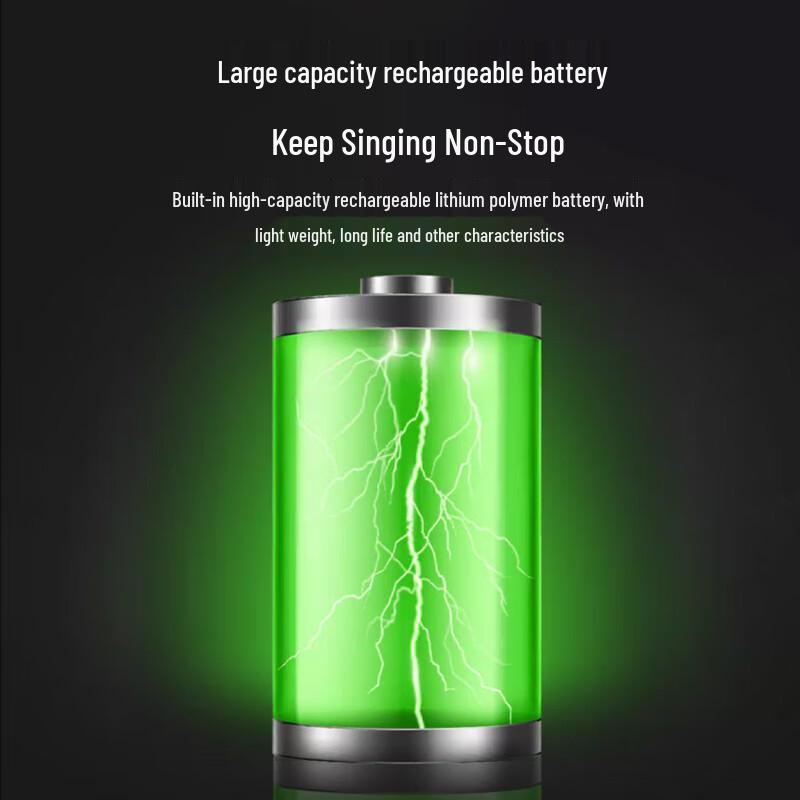 Huidu NB-400L Professional Portable Live Performance Speaker